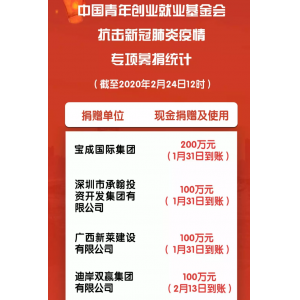 广西新莱建设有限公司向中国青年创业就业基